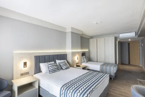 ELYSEE RIVE HOTEL Rooms