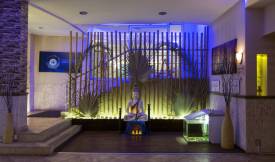 EPHESIA RESORT HOTEL Spa