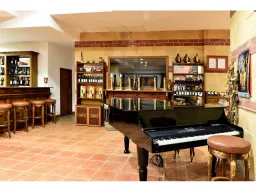 ESTREYA PALACE Bars