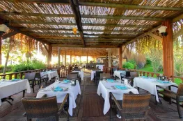 FLORA GARDEN BEACH 16+ Restaurants