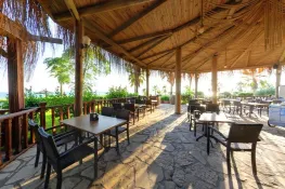 FLORA GARDEN BEACH 16+ Restaurants