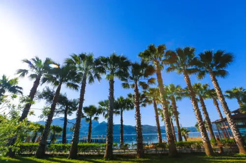 FORTEZZA BEACH RESORT General Images