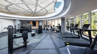IM DREAMER HOTEL Activities