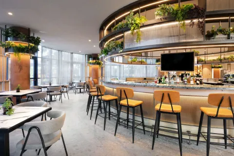 IM DREAMER HOTEL Bars