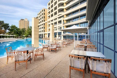 IM DREAMER HOTEL Bars