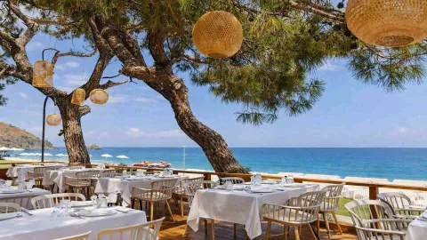RAI FORESTA TEKIROVA Restaurants