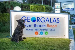 GEORGALAS SUN BEACH VILLA General Images