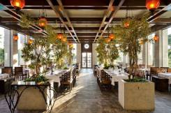 GLORIA SERENITY RESORT Restaurants