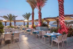 GRANADA LUXURY OKURCALAR Bars