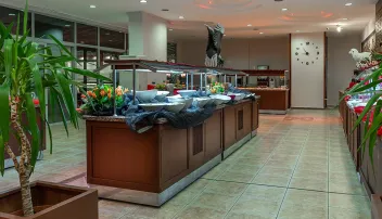 GRAND VIKING HOTEL Restaurants