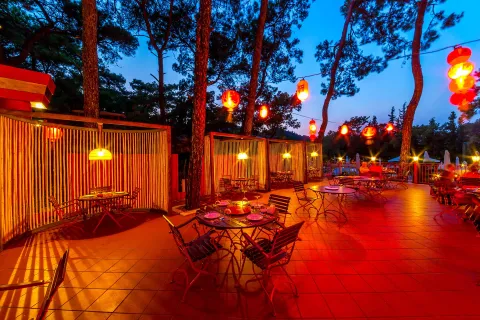 GRAND YAZICI CLUB TURBAN Restaurants