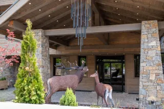 GRANDE VISTA RESORT - SPA Lobby