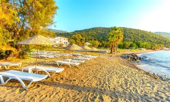 GREEN GOLD HOTEL Pools & Beach
