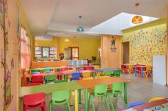 GREEN MAX HOTEL Mini Club