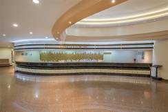GREEN MAX HOTEL Lobby