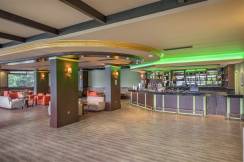 GREEN MAX HOTEL Bars