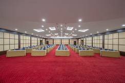 GREEN MAX HOTEL Meetings