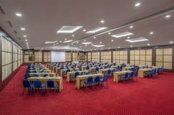 GREEN MAX HOTEL Meetings