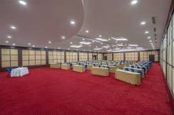 GREEN MAX HOTEL Meetings