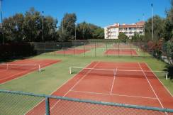 GREEN MAX HOTEL Activities