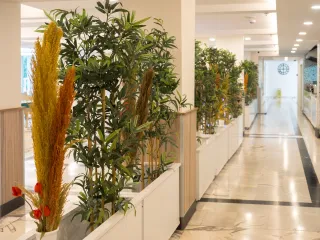 HALICI HOTEL Lobby