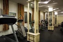 HELENA SANDS Activities