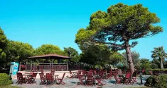 CLUB YALI RESORT Bars