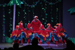 HVD CLUB HOTEL MIRAMAR Activities