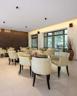 HVD LOTOS HOTEL Bars