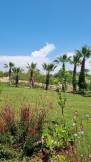 JADORE DELUXE HOTEL - SPA Pools & Beach