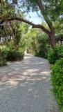 JADORE DELUXE HOTEL - SPA Pools & Beach