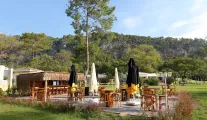 JUJU PREMIER PALACE Bars