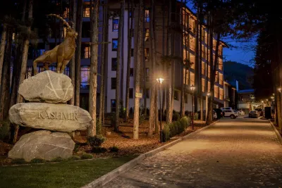 KASHMIR WELLNESS SPA HOTEL 14+ General Images