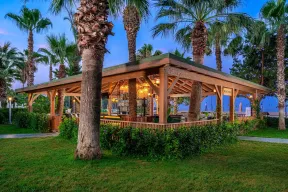 KIRMAN PREMIUM LEODIKYA RESORT Bars