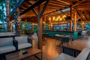 KIRMAN PREMIUM LEODIKYA RESORT Bars
