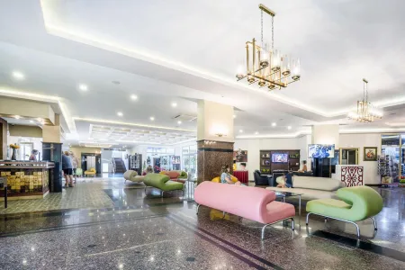 KLEOPATRA ROYAL PALM Bars