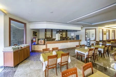 KLEOPATRA ROYAL PALM Bars