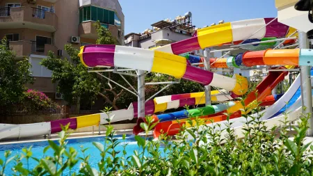 KLEOPATRA ROYAL PALM Activities