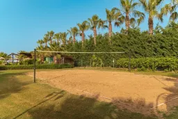 KOLIBRI HOTEL Activities