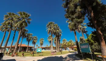 KUSTUR CLUB HOLIDAY VILLAGE General Images