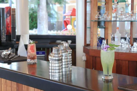 LABRANDA HOTEL ALANTUR Bars