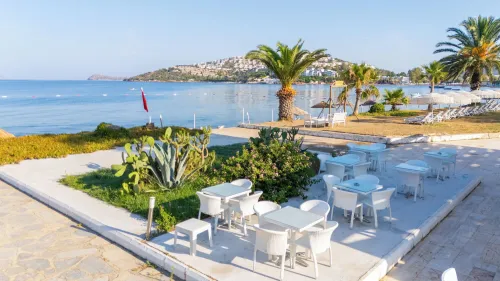 LADONIA HOTELS LUNA BEACH RESORT Bars