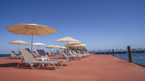 FESTIVAL HOTEL Pools & Beach