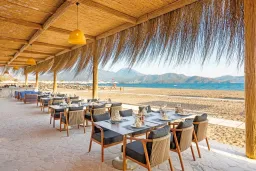 LIBERTY SIGNA Restaurants