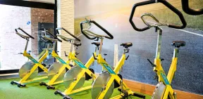 LIMAK ARCADIA SPORT RESORT Activities