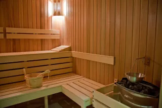 LION BOROVETS Spa