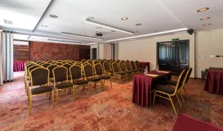LION BOROVETS Meetings