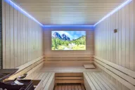 LION BOROVETS Spa
