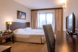 LION BOROVETS Rooms