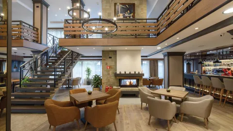 LION BOROVETS Lobby
